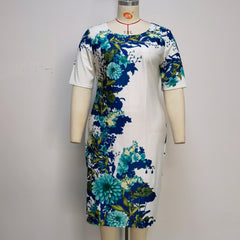 Esemble robe  chic