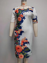 Esemble robe  chic